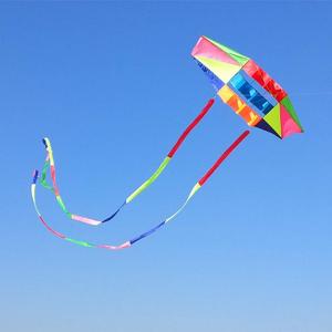 Beach Kites for Adults Large with Long Tail, 98 inches Super Easy Flyer 3D Rainbow Box Kites, Comes with Two 49 Feet Multi Colors Tails, 300 ft Kite String & Handle
