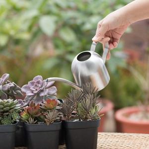 34 oz/ 1000 ml Copper Cute Watering Can Set for Indoor Plants - Indoor Watering Can with 18 oz/ 530 ml Mister Spray - Silver Stainless Steel Watering Can - Modern Metal Water Can
