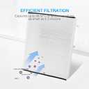 Premium Cabin Air Filter Fits Ford Escape 2013-2020, Focus 2012-2018, Transit Connect 2014-2021, C-Max 2013-2018, GT 2017-2020 | Lincoln MKC 2015-2019