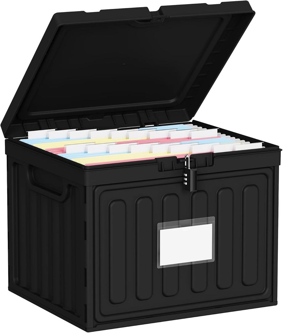 Oterri Plastic File Box with Lid for Letter Size Hanging File Folders, Hanging File Folder Box for Home, Office, School, File Cabinet, Assembly File Organizer, BlackLarge-1 Pack Without Folders