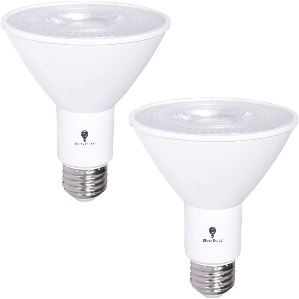 2 Pack PAR30 Outdoor LED Flood Light Bulb 12W 100 Watt Equivalent 900 Lumens Dimmable Waterproof E26 6000K Daylight LED Flood Light Bulbs for Security Spotlight Bulb Led Recessed Light Bulbs