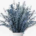 26Pcs Real Dried Eucalyptus Stems, 17" Blue-Green Preserved Eucalyptus Stems for Vase, Home Decor, Farmhouse, Dried Flowers Table Centerpiece Arrangement