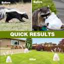 36 Pack Skunk & Raccoon Repellent for Yard, Natural Peppermint Rodent Repellent Ball Keep Skunk, Squirrel, Mouse, Raccoon Away from Yard Garden Lawn, Powerful Skunk Deterrent Outdoor