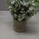 Flojery Mini Potted Plants Artificial Eucalyptus Boxwood Rosemary Faux Herbs Small House Plants 8.3"-9" Tall for Indoor Greenery Tabletop Dcor Centerpiece (Sprayed Eucalyptus)