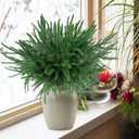 8 PCS Norfolk Pine Branches,21.6 Inch Artificial Green Pine Stem,Real Touch Faux Christmas Greenery Pines Picks for Vase DIY Flower Arrangement Garland Wreath Home Decoration