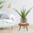 Plant Stand Indoor Outdoor Wood Mid Century Plant Stand for Indoor Plants, Modern Plant Table Round Plant Stool, Boho Rustic Wooden Stool for Plant Pot Hol (L)