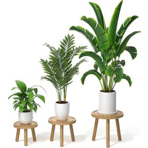 3-Pack Wood Plant Stands Indoor, Single Plant Stand for 6-12 Inch Pots, Mid-Century Modern Plant Stool, Tall Plant Stand for Large Plants for Living Room, Balcony, Office (Light Brown (light burnt color)