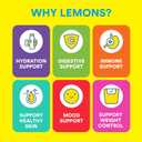 Lemon Perfect Original, Flavored Lemon Water, Organic, Zero Sugar, Healthy Hydration Drinks, 15.2 fl oz Bottles (12-Pack) (EXP 02/26/26)