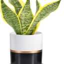 Ekirlin 5 inch Plant Pot - Ceramic Flower Planters Indoor - Modern Succulents Containers with Drain Hole Saucer, Decorate Home, Office & Outdoor (Black)