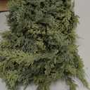 6FT Christmas Cedar Garland, Thick & Full Artificial Norfolk Pine Cypress Greenery, Real Touch Faux Cedar Garland for Fireplace Mantle Staircase Table Doorway Indoor Outdoor Holiday Decoration