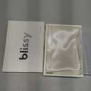 Blissy Silk Pillowcase - 100% Pure Mulberry Silk - 22 Momme 6A High-Grade Fibers - Silk Pillow Cover for Hair & Skin - Regular, Queen & King (Blissy White, Standard)