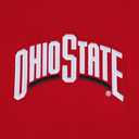 Pro Standard NCAA mens Mens College Wingspan Fleece Pull Over Hoodie, S