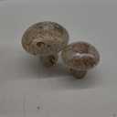 HD 5.9IN GLASS TEXTURE MUSHROOM MULTI