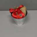 Rustic Tin Red Lion Amaryllis Holiday Gift Growing Kit, Deluxe Edition. Includes a Rustic Silver Pot, 1 Large Bulb, a Burlap Gift Bag and Professional Growing Medium