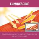 Goldwell Dualsenses Color Extra Rich Brilliance Shampoo (10.1 Fl Oz (Pack of 1))