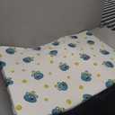 Pack and Play Mattress 38" x 26", Portable Playard Mattress Soft Firm Premium Foam Pack N Play Mattresses Odorless Breathable Baby Foam Playpen Mattresses (Apple Bear)