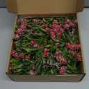 Christmas Garland with Light,Lighted Snowy Red Berries Holly Leaves Garland for Fireplace Mantle Indoor Outdoor Christmas Decoration 6.5FT Pre-lit Battery Operated Xmas String Lights 2 Pack