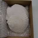 10PCS Large Natural Scallop Shells, 4''-5'' Large Shell for Crafts, DIY Painting, Baking and Beach Wedding Decorations - Large White Seashells Bulk for Ocean Themed Parties and Home Decor