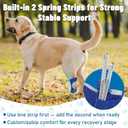 Dog Leg Braces for Back & Front Legs- Dog Hock & Ankle Joint Brace for Weak Back Legs with 2 Metal Strips, Reflective Trim for Sprain, Injury, Arthritis, Wound Recovery,Blue,S