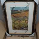 12x16 Picture Frame, Ornate Embossing Frame with Paper Mat and Plexiglass, Fit for 12x16 without Mat or 8x12 with Mat, Wall Mounting Display for Art Prints, Black and Antique Gold, 2 Pack