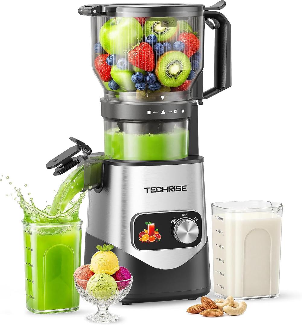 TechRise 3-in-1 Cold Press Juicer with 6" Wide Feed Chute, Slow Masticating Juicer Machine for Whole Fruits & Vegetables, Makes Juice, Fruit Sorbet & Nut Milk, Easy to Clean, BPA-Free, Space Silver