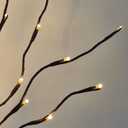 PEIDUO Lighted Willow Branches 30Inch 120 LED Twig Lights, 6PK Tree Branch Pathway Light for Holiday Xmas Decorations Indoor Outdoor Stake Lights