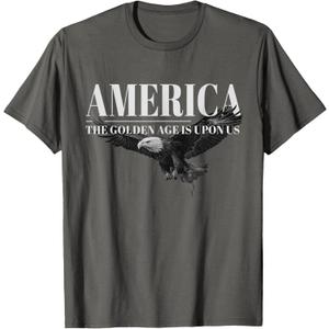 America Golden Age Patriotic Bald Eagle Design T-Shirt, S