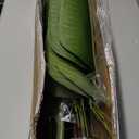 Artificial Bird of Paradise Plants 5Ft Fake Tropical Palm Tree with 10 Trunks in Pot and Woven Seagrass Belly Basket Perfect Faux Plant for Home Indoor Outdoor Office Modern Decor Green 2 Pc