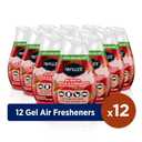 Renuzit - 1717587 Blissful Apple & Cinnamon Adjustable Gel Air Freshener, 7oz Cone (Pack of 12)