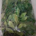 Melorca&Guilla Artificial Plants,3PCS 43.3" Green Faux Branches for Vase,Artificial Plants & Flowers Faux Greenery Stems Fake Plants for Shop Garden Office Home Dcor