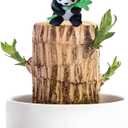 Brazilian Wood Plant,Mini Brazil Lucky Wood,Ceramic Tray Lucky Tree,with Panda Statues,Swelling The Stage of About to Sprout,Brazilian Tree Perfect for Home,Office Desktop Decoration (Panda Statue)
