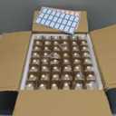 48 Pack 2oz Clear Glass Dropper Bottles, Eye Dropper Bottles with Glass Droppers for Essential Oils, Perfumes(60ml, Gold)