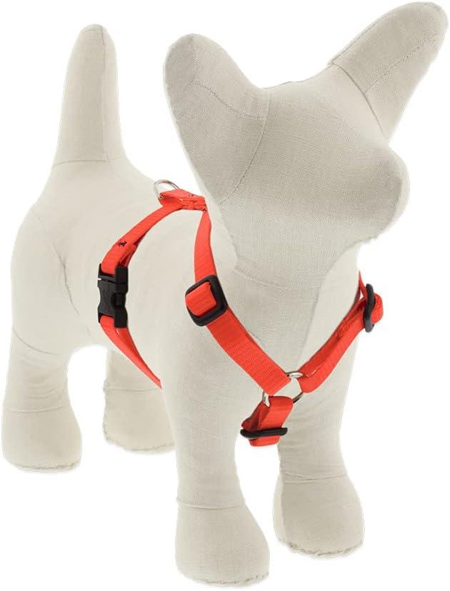 Lupine Small Adjustable Dog Harness 1/2" Wide Blaze Orange with 12-20" Adjustable Girth