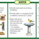 Wagner's 62067 Deluxe Treat Blend Wild Bird Food, 4 Pound (Pack of 1)