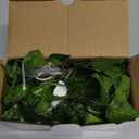 KASZOO 33ft 100 LED Vine with Fairy Lights with Remote, Fake Vines String Lights Battery/USB Operated, Ivy Garland, Leaf Lights for Bedroom Garden Party Wall Room Decor