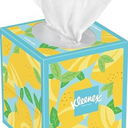 Soothing Lotion Tissues with Coconut Oil & Vitamin E | Soft & Gentle Facial Tissues with Moisturizers