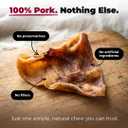 Best Pet Supplies GigaBite Whole Pig Ears for Dogs - All-Natural Slow-Roasted Chews That Clean Teeth and Satisfy Aggressive Chewers - 60 Pack for Large Dogs (EXP 06/15/30)