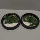 Der Rose 2 Pack Fake Plants Hanging Artificial Succulents Plants in Black Pots for Living Room Bathroom Accessories Boho Farmhouse Wall Decor