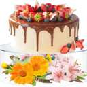 Clear Acrylic Cake Stand, 12 Inch Round Cupcake Display Holder, Dessert Display Stand with Hollow Bottom, Cake Riser for Wedding Birthday Party Christmas