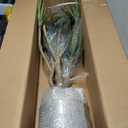 Zythrem 6ft Dracaena Artificial Plant Tall Faux Trees Indoor Realistic Floor Plant Artificial Trees for Home Decor Indoor Office Living Room Patio Greening Porch Décorations