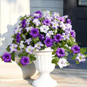 Waipfaru Artificial Flowers for Outdoors, 2Pcs Artificial Petunias UV Resistant Realistic Silk Petunias Fake Flowers for Indoor Outdoor Planters Home Garden Yard Porch Balcony Window Decor, Purple