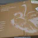 Feather Down Throw Pillow Inserts 18 x 18, Set of 2, 100% Organic Cotton Shell, Soft Decorative Square Pillows Insert for Living Room Sofa, Couch, or Bed (White)