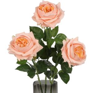 3PCS Real Touch Austin Rose Artificial Flowers 5.1" Large Rose Fake Flowers 23.62'' Long Stem Faux Peonies Flowers Arrangement for Wedding Home Kitchen Party Indoor Outdoor Decor(Champagne)