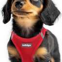 rabbitgoo Small Dog Harness, Step-in Soft Mesh Puppy Vest with Safety Buckle, Breathable Reflective Pet Harness for Extra Small Dogs, Red, XXS (Chest: 12.4"-14.2")