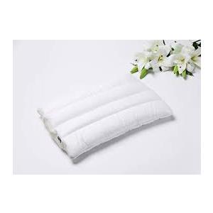 Pillows 2 Pack 17x25