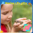 Frog Gifts for Women - Funny Frog Socks for Teen Girls, Animal Gifts Frog Cute Socks