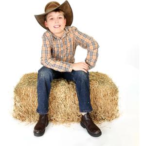 OWLHAUS Realistic Large Hay Bale, Real Straw, 32x16x16in