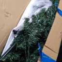 6 ft. Pre-Lit Artificial Christmas Tree with 350 LED Lights