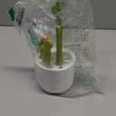 Boon Cacti Bottle Cleaning Brush Set - Includes Bottle Brush, Nipple Brush, Detail Brush, and Straw Brush - Baby Bottle Brush Set for Bottle Drying Rack - Baby Essentials - 4 Count