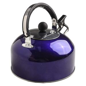 2L Stainless Steel Kettle with Heat Resistant Handle and Whistling Feature